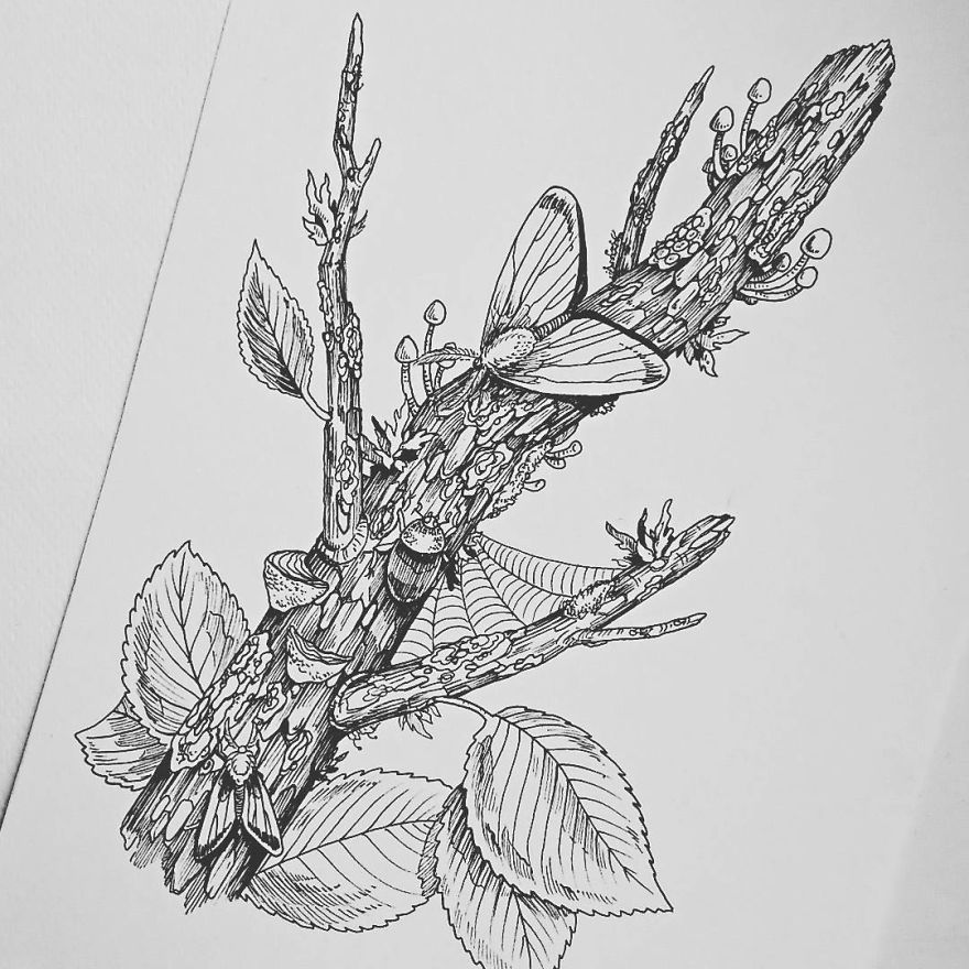 30 Intricate Drawings Of Animals Created By Me