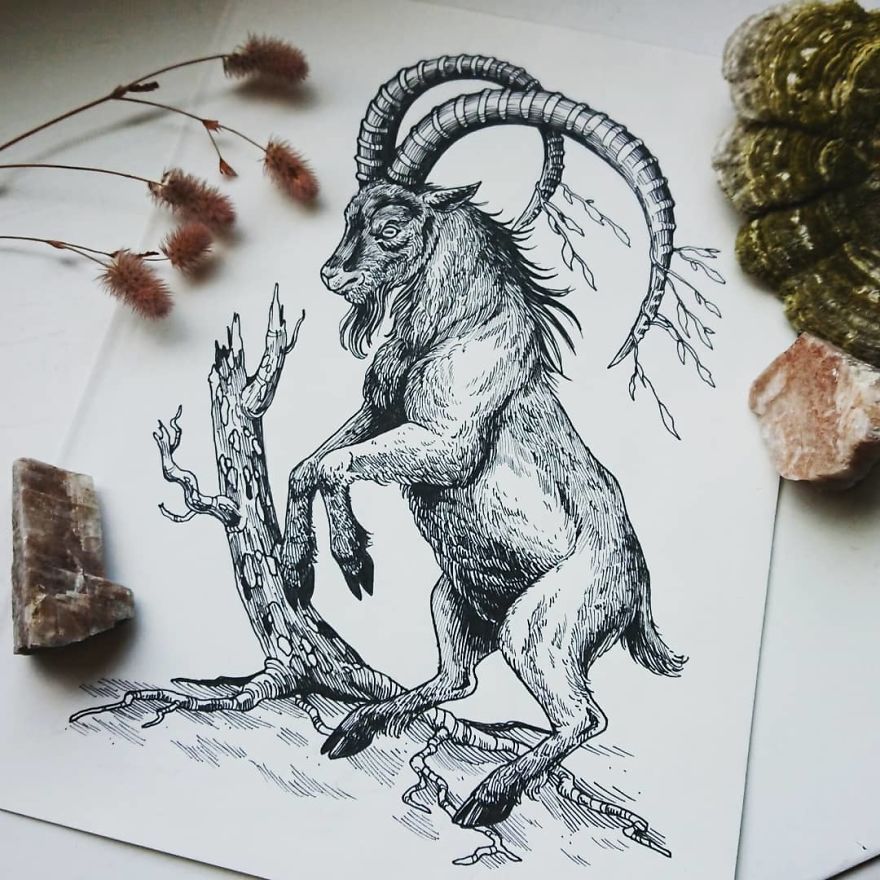 30 Intricate Drawings Of Animals Created By Me