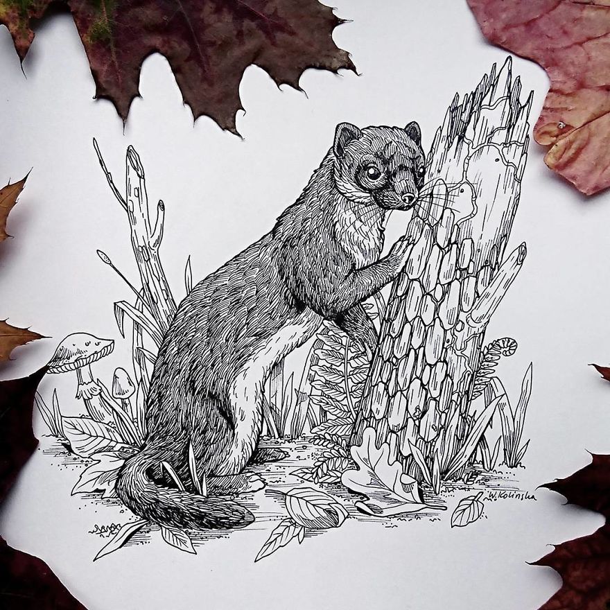 30 Intricate Drawings Of Animals Created By Me