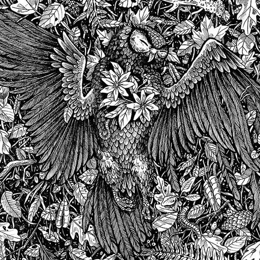 30 Intricate Drawings Of Animals Created By Me