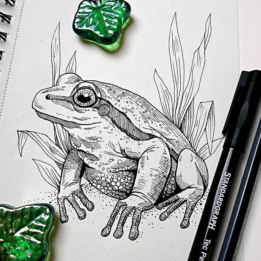 30 Intricate Drawings Of Animals Created By Me