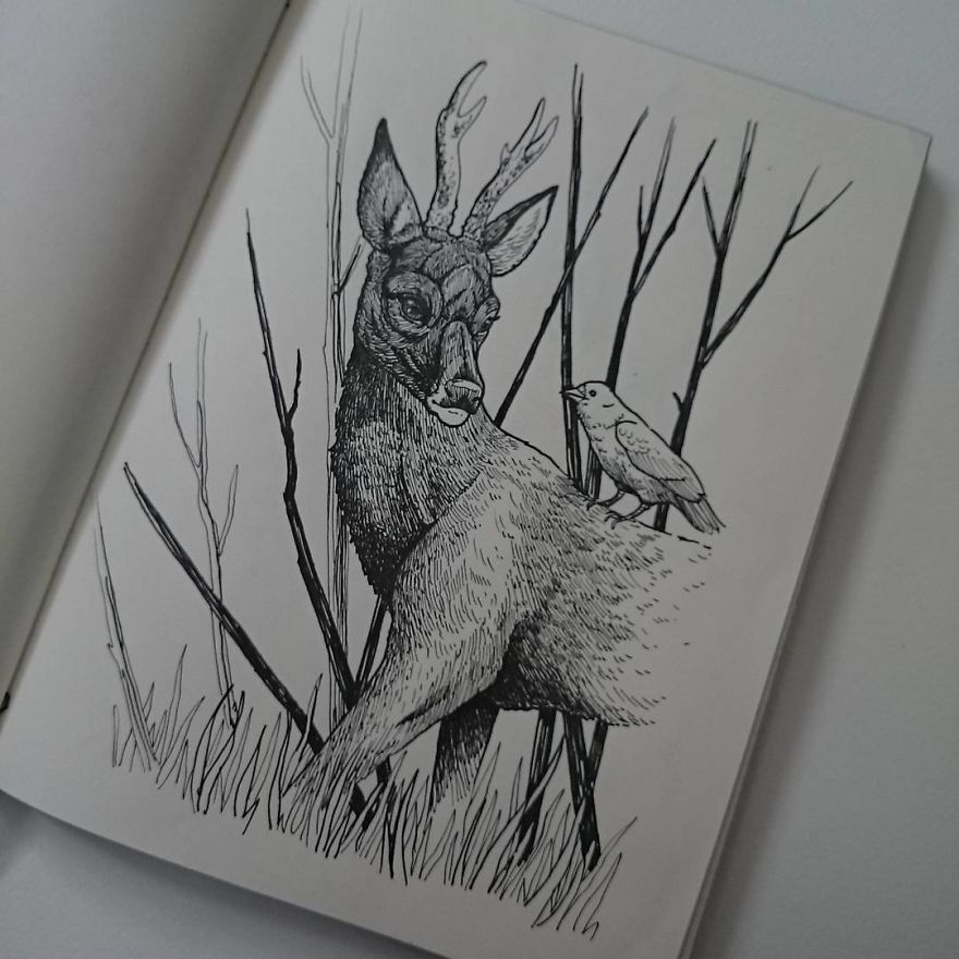 30 Intricate Drawings Of Animals Created By Me