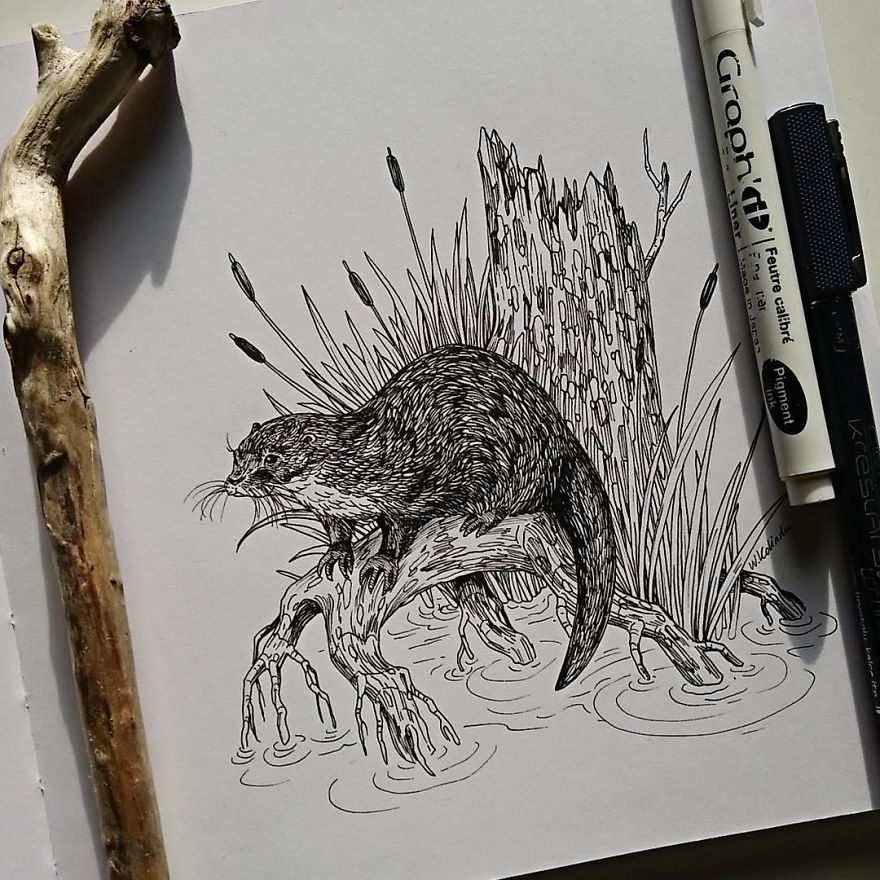 30 Intricate Drawings Of Animals Created By Me