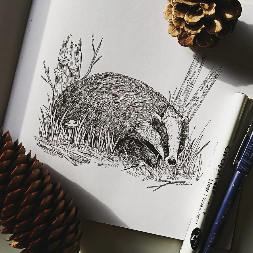 30 Intricate Drawings Of Animals Created By Me