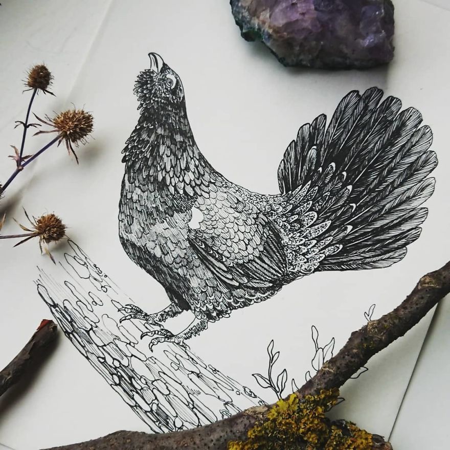30 Intricate Drawings Of Animals Created By Me