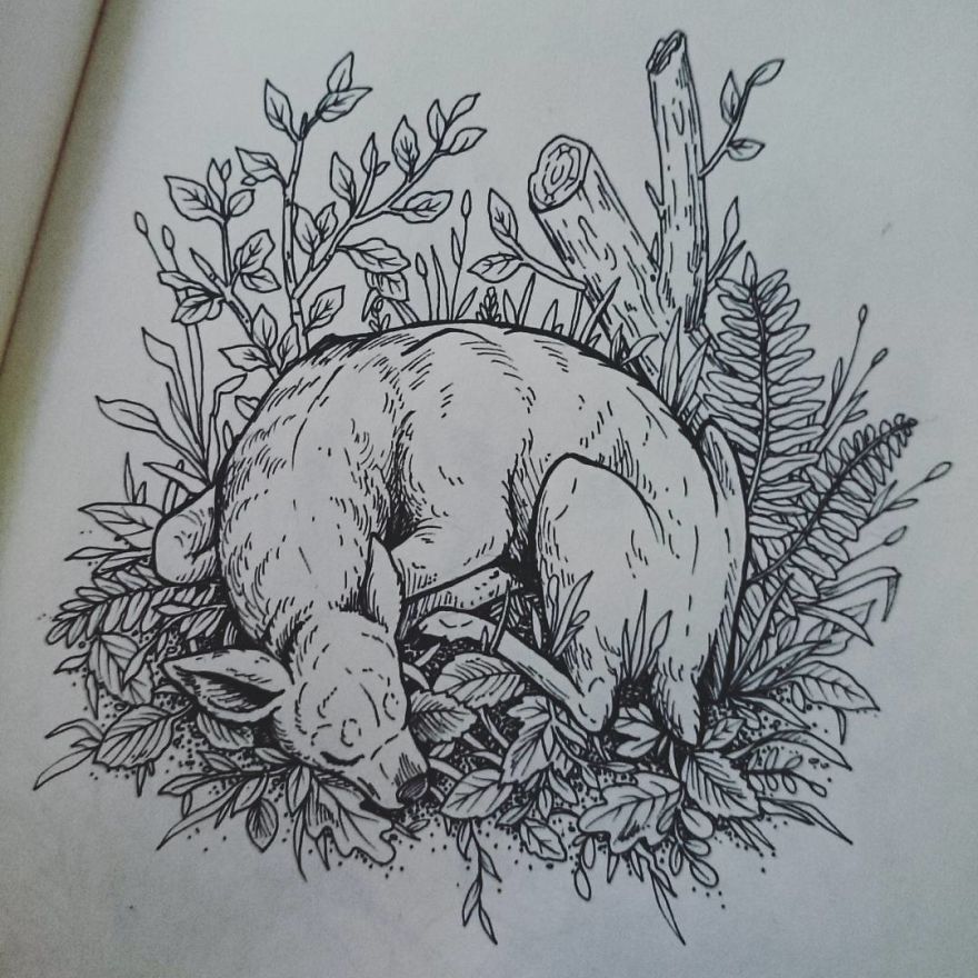 30 Intricate Drawings Of Animals Created By Me