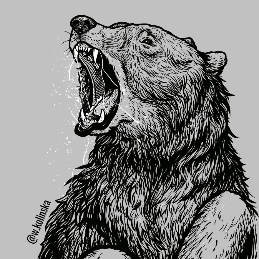 30 Intricate Drawings Of Animals Created By Me