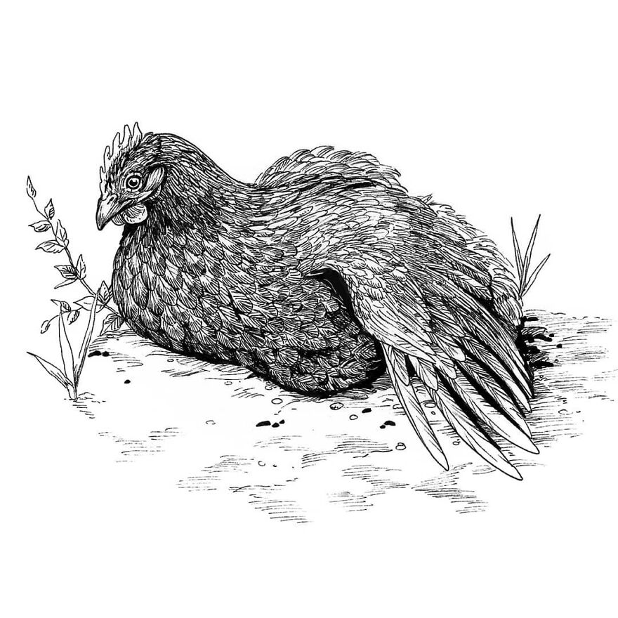 30 Intricate Drawings Of Animals Created By Me