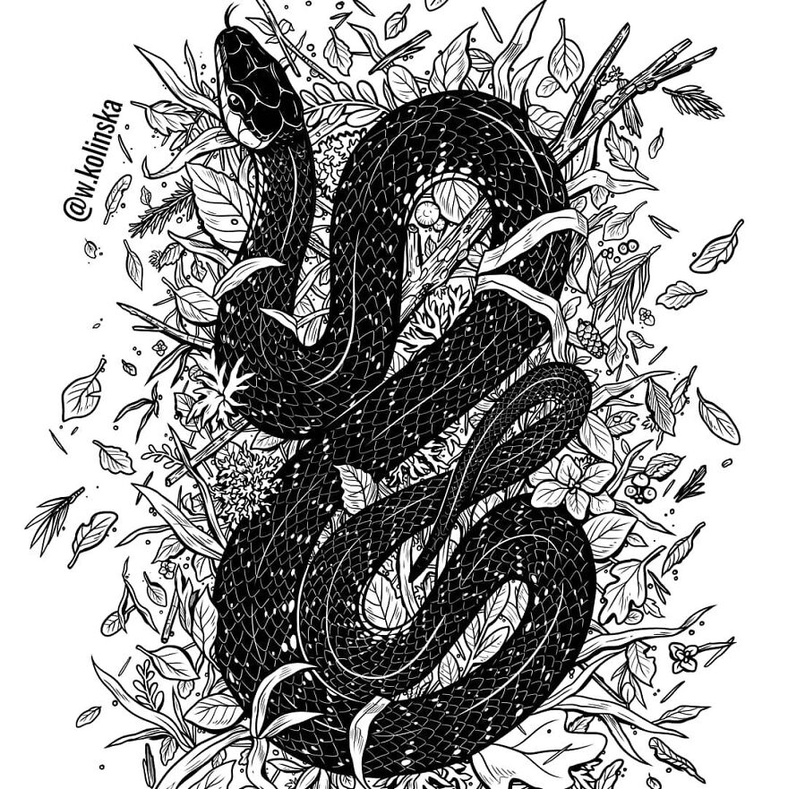 30 Intricate Drawings Of Animals Created By Me