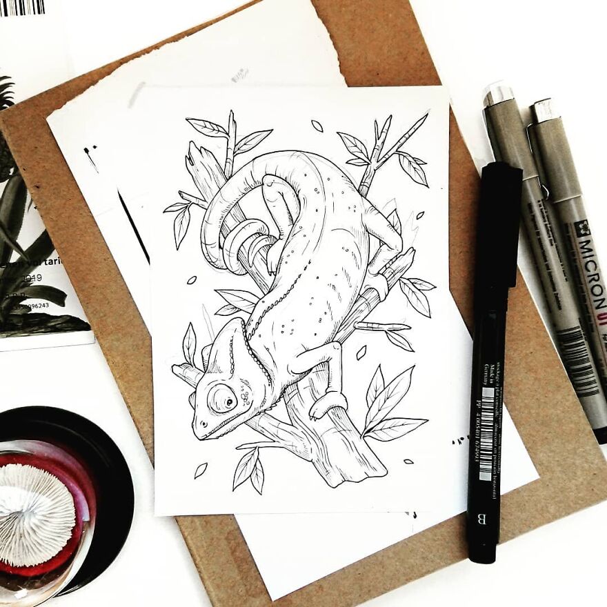 30 Intricate Drawings Of Animals Created By Me
