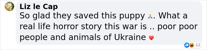 Ukrainian Policemen Pull Puppy Out Of Rubble And Return It To 77-Year-Old Owner Who&rsquo;d Lost Everything Else