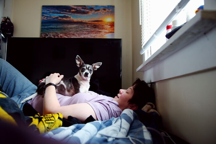 30 Times Pets Surprised Their Owners By Showing Just How Intelligent They Can Be