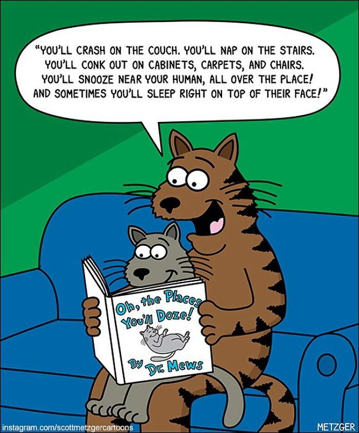 30 Funny Cat Comics By Scott Metzger That Might Make Every Cat Owner Cry With Laughter (New Pics)