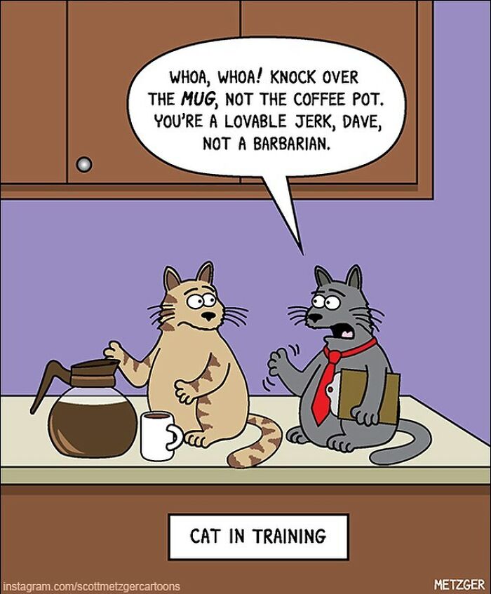 30 Funny Cat Comics By Scott Metzger That Might Make Every Cat Owner Cry With Laughter (New Pics)
