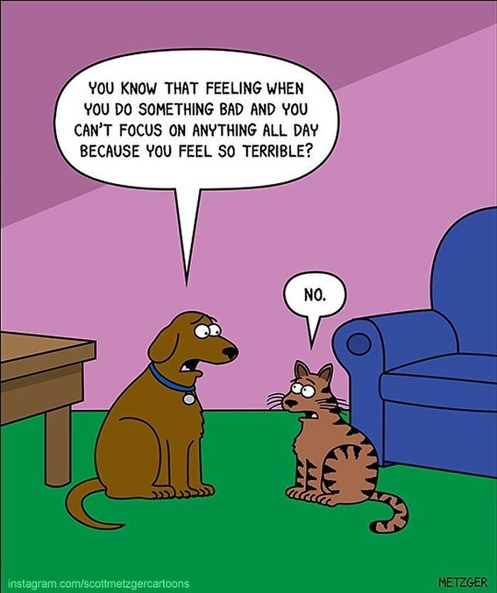 30 Funny Cat Comics By Scott Metzger That Might Make Every Cat Owner Cry With Laughter (New Pics)