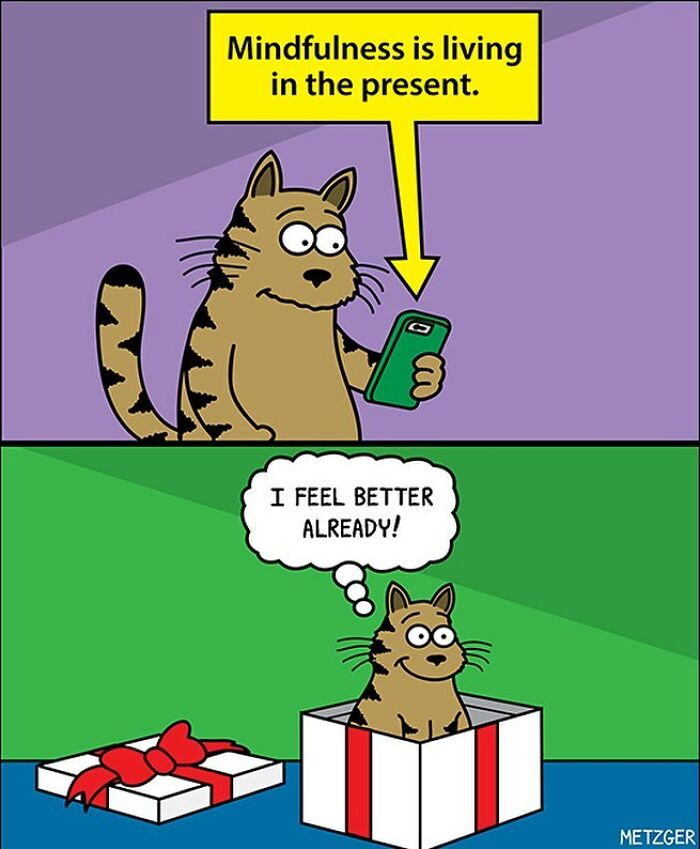 30 Funny Cat Comics By Scott Metzger That Might Make Every Cat Owner Cry With Laughter (New Pics)