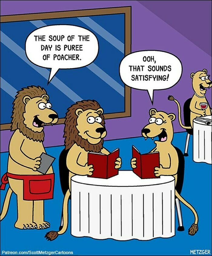 30 Funny Cat Comics By Scott Metzger That Might Make Every Cat Owner Cry With Laughter (New Pics)