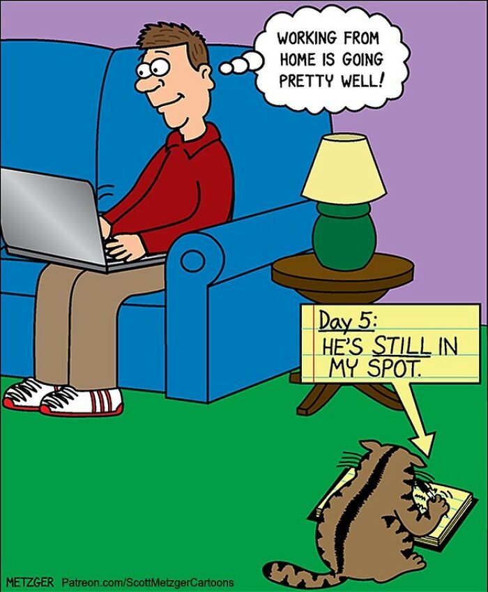 30 Funny Cat Comics By Scott Metzger That Might Make Every Cat Owner Cry With Laughter (New Pics)