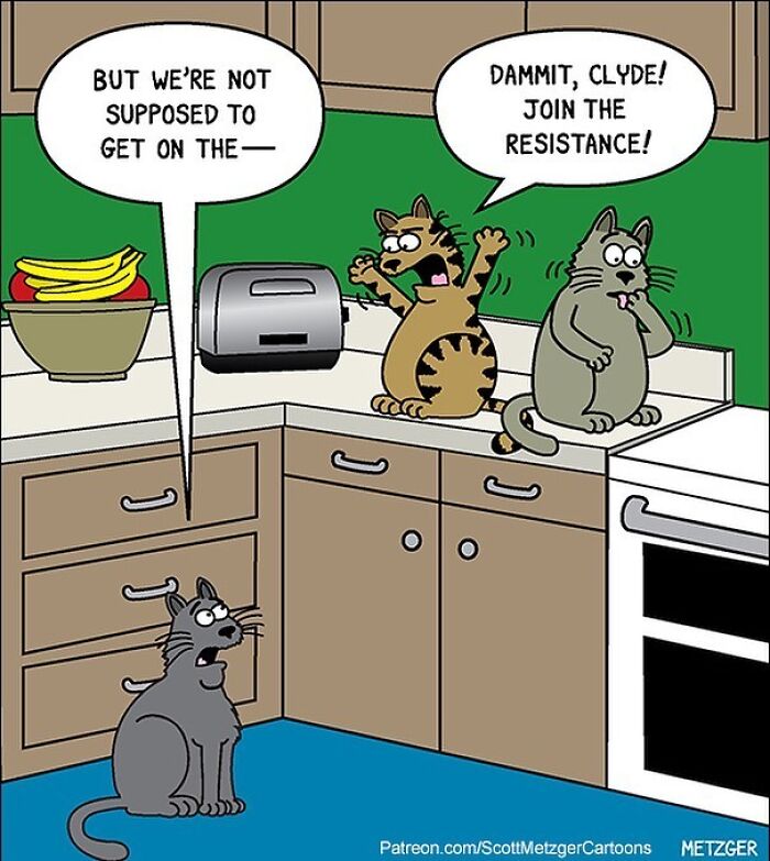 30 Funny Cat Comics By Scott Metzger That Might Make Every Cat Owner Cry With Laughter (New Pics)