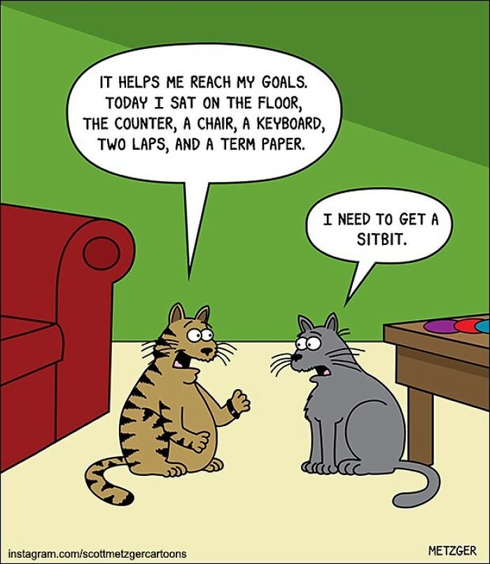 30 Funny Cat Comics By Scott Metzger That Might Make Every Cat Owner Cry With Laughter (New Pics)