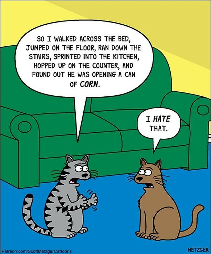 30 Funny Cat Comics By Scott Metzger That Might Make Every Cat Owner Cry With Laughter (New Pics)