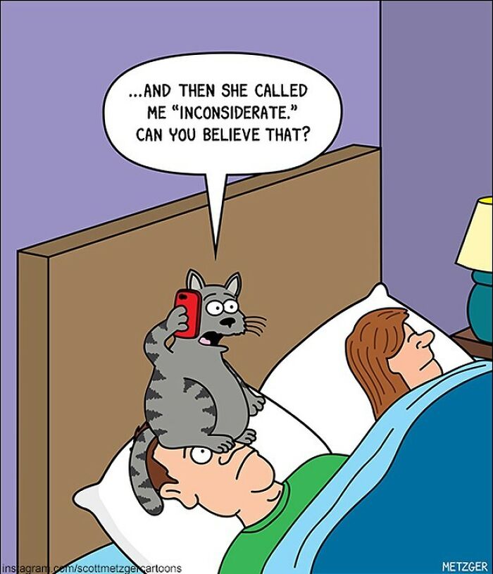 30 Funny Cat Comics By Scott Metzger That Might Make Every Cat Owner Cry With Laughter (New Pics)