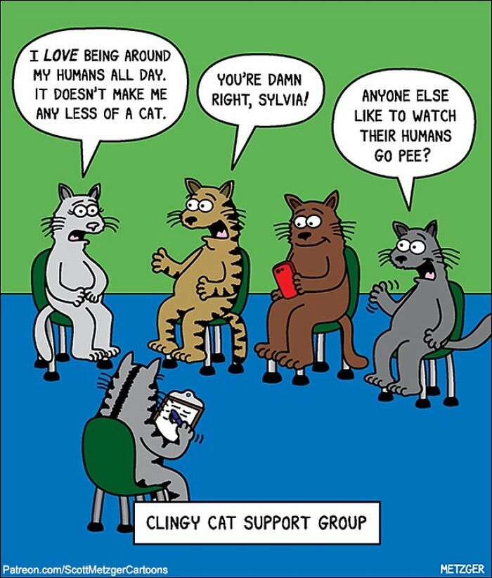 30 Funny Cat Comics By Scott Metzger That Might Make Every Cat Owner Cry With Laughter (New Pics)