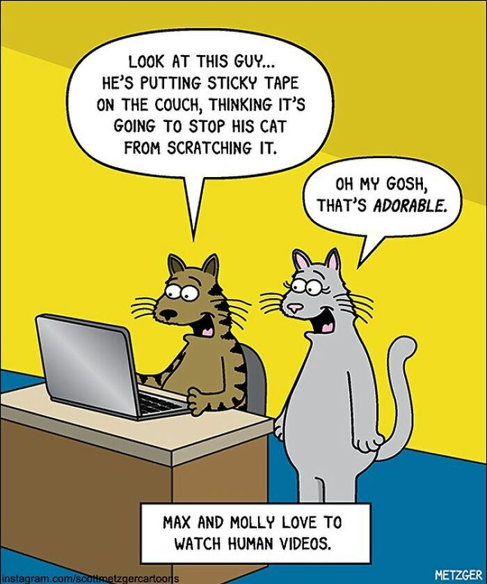 30 Funny Cat Comics By Scott Metzger That Might Make Every Cat Owner Cry With Laughter (New Pics)