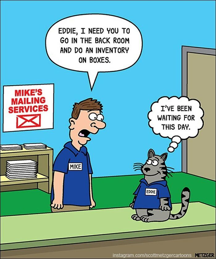 30 Funny Cat Comics By Scott Metzger That Might Make Every Cat Owner Cry With Laughter (New Pics)