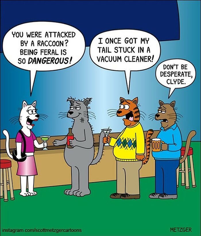 30 Funny Cat Comics By Scott Metzger That Might Make Every Cat Owner Cry With Laughter (New Pics)