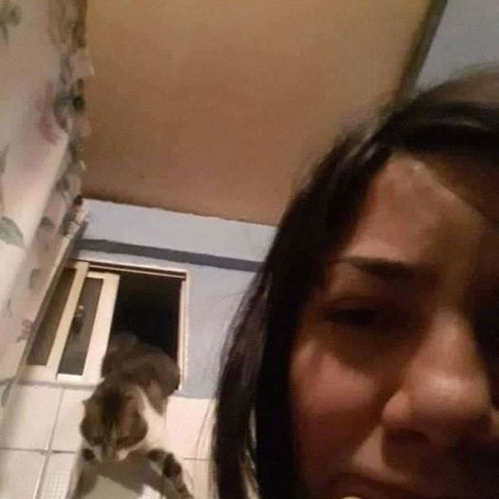 50 Of The Best Pics Of &#8216;Cats With Threatening Auras&#8217;