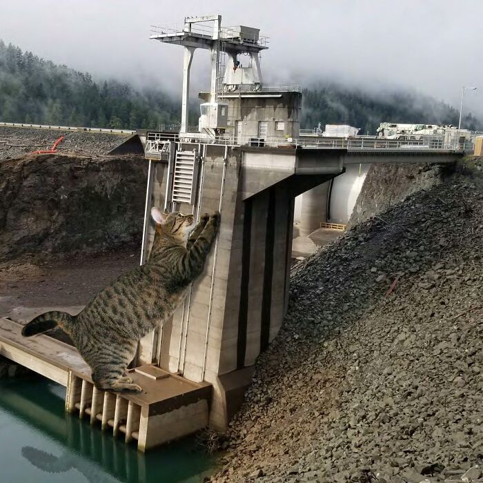 The U.S. Army Corps Of Engineers&#8217; 2023 Calendar Is A Funny Blend Of Engineering And Entertainment