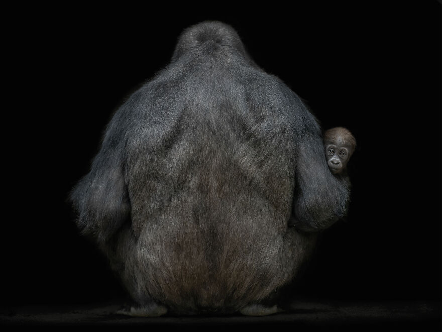 Here Are 40 Of The Most Striking Photographs, As Selected By All About Photo Magazine Awards 2023: “The Mind’s Eye”
