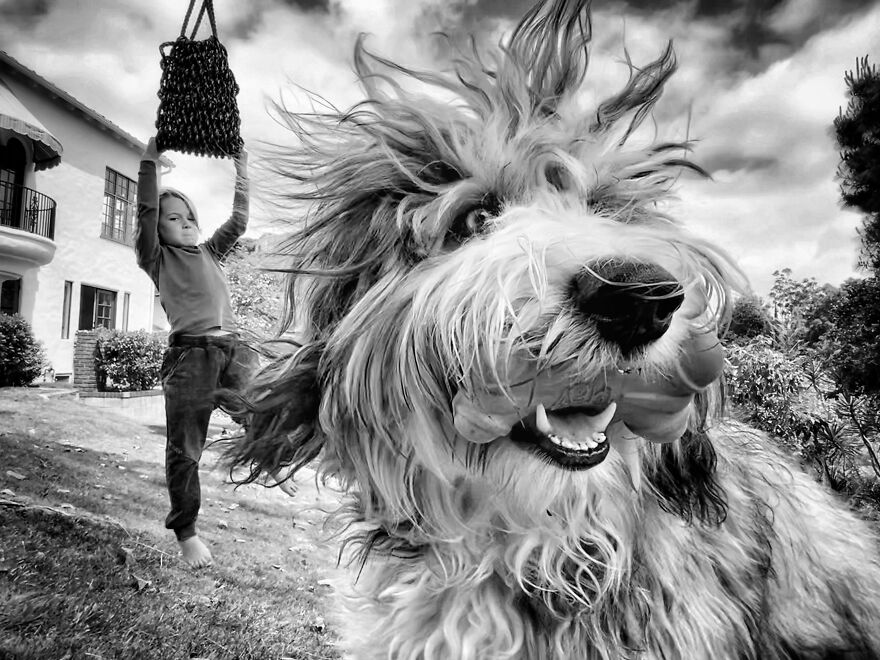 Here Are 40 Of The Most Striking Photographs, As Selected By All About Photo Magazine Awards 2023: “The Mind’s Eye”