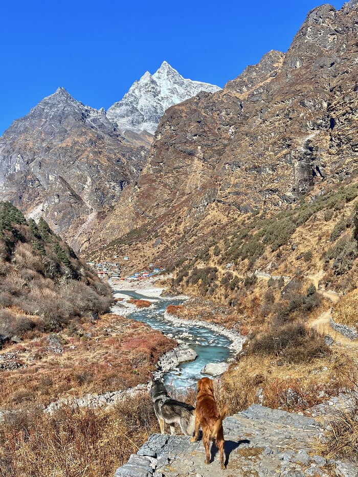 Hiking With My Two Dogs Is My Biggest Passion, Here Are Some Highlights Of Our Tsho Rolpa Glacial Lake Adventure
