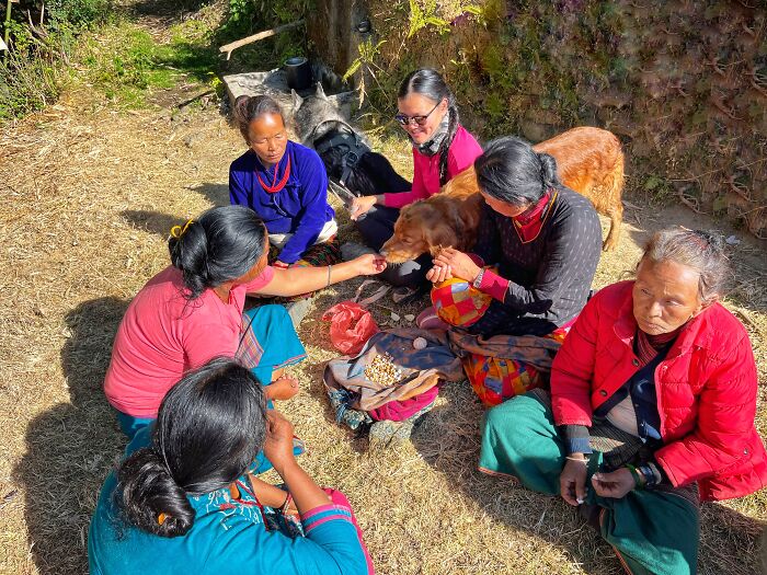 Hiking With My Two Dogs Is My Biggest Passion, Here Are Some Highlights Of Our Tsho Rolpa Glacial Lake Adventure