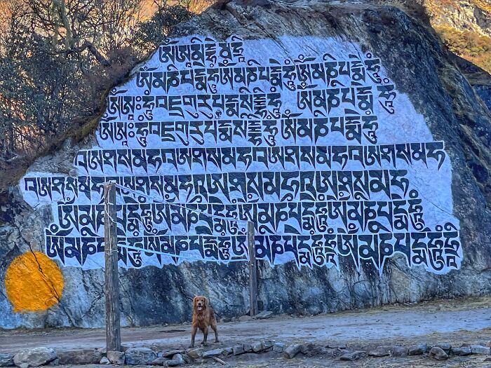 Hiking With My Two Dogs Is My Biggest Passion, Here Are Some Highlights Of Our Tsho Rolpa Glacial Lake Adventure