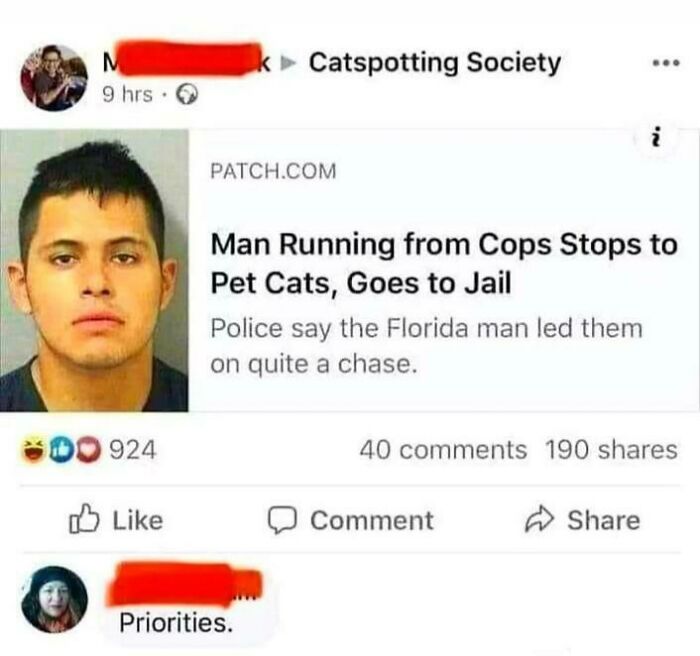 50 Funny Cat Photos Anyone Who Has Cats Should Appreciate