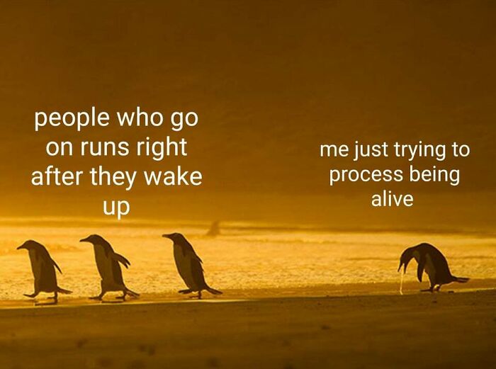 40 Funny “Good Morning” Memes Guaranteed To Make You Smile