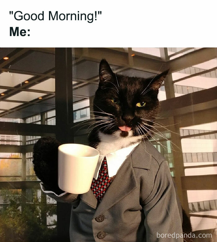 40 Funny “Good Morning” Memes Guaranteed To Make You Smile