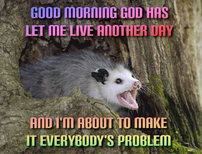 40 Funny “Good Morning” Memes Guaranteed To Make You Smile