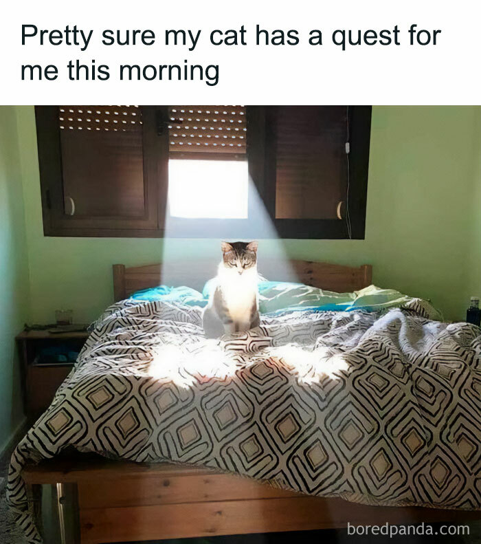 40 Funny “Good Morning” Memes Guaranteed To Make You Smile