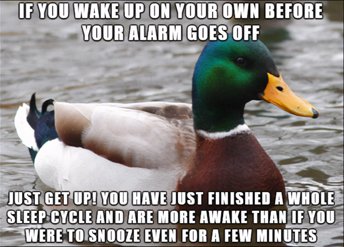 40 Funny “Good Morning” Memes Guaranteed To Make You Smile