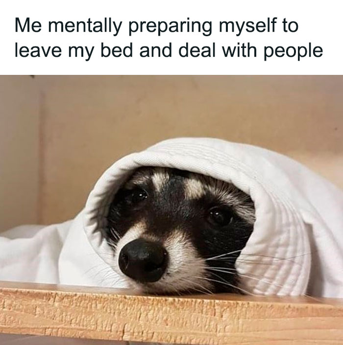 40 Funny “Good Morning” Memes Guaranteed To Make You Smile