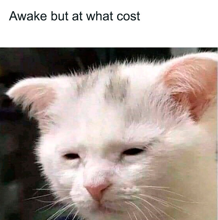 40 Funny “Good Morning” Memes Guaranteed To Make You Smile