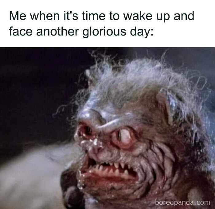 40 Funny “Good Morning” Memes Guaranteed To Make You Smile