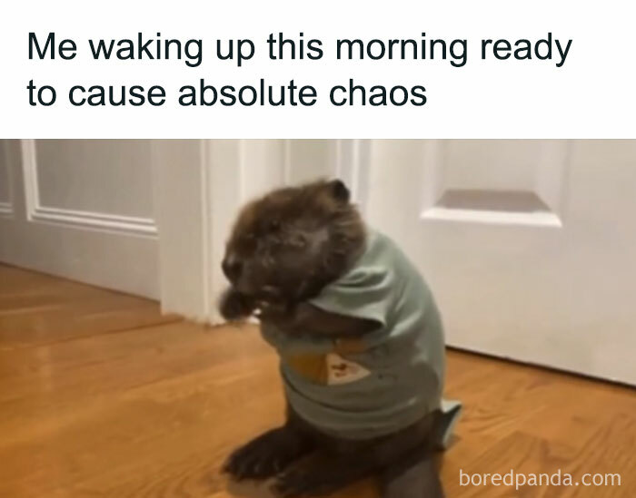 40 Funny “Good Morning” Memes Guaranteed To Make You Smile
