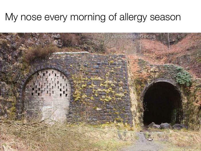 40 Funny “Good Morning” Memes Guaranteed To Make You Smile