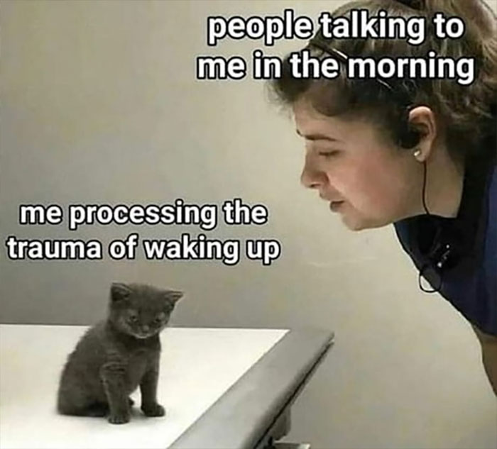 40 Funny “Good Morning” Memes Guaranteed To Make You Smile