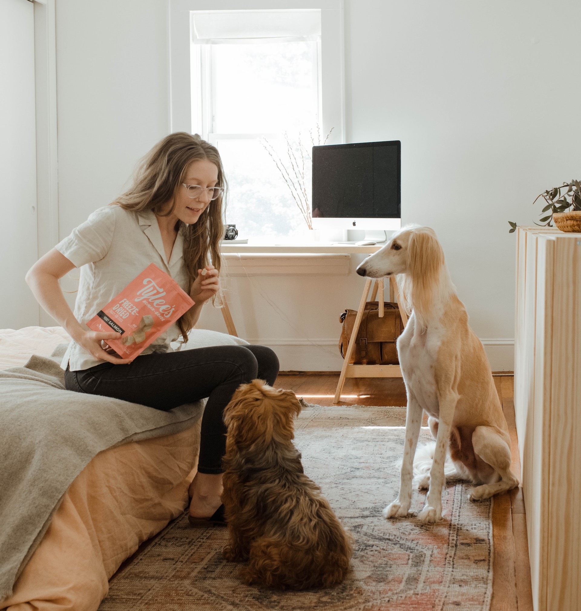 7 Tested Tips on How to Keep Dogs Off the Couch and Sofa